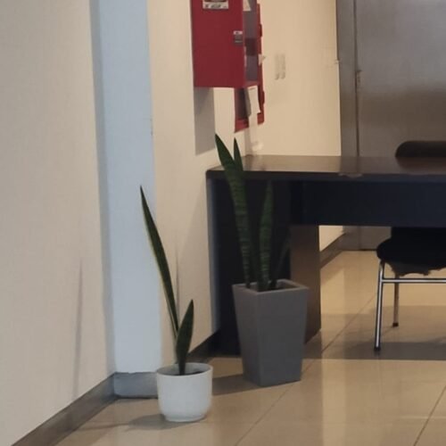 WhatsApp Image 2026-03-06 at 11.40.12 AM (1) WhatsApp Image 2026-03-06 at 11.40.12 AM (1)